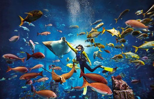 Atlantis The Palm Aquaventure Park GHOTW