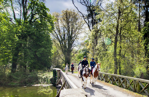 Luttrellstown Castle Horse Riding GHOTW