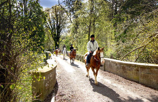 Luttrellstown Castle Horse Riding GHOTW